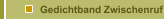 Gedichtband Zwischenruf