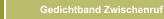 Gedichtband Zwischenruf